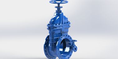 De hoogwaardige Kneedbare Zachte Klep van de Ijzerpoort Gezet voor Watervoorziening/Rioleringssysteem