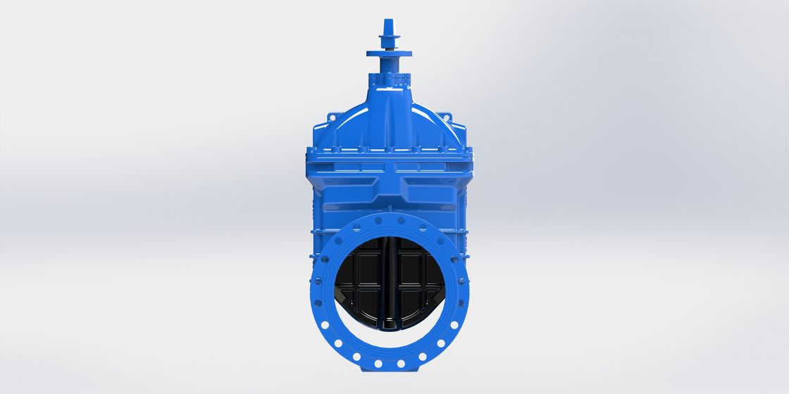Op van de Controleklep van het Typewater, de Veerkrachtige Gezette Goedkeuring van de Poortklep WRAS